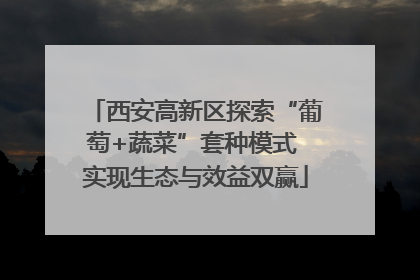 西安高新区探索“葡萄+蔬菜”套种模式 实现生态与效益双赢
