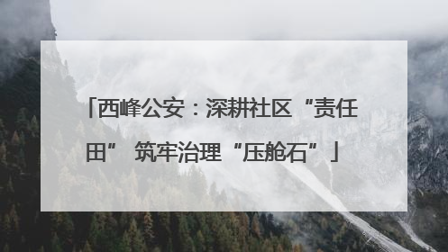 西峰公安：深耕社区“责任田” 筑牢治理“压舱石”