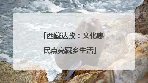 西藏达孜：文化惠民点亮藏乡生活