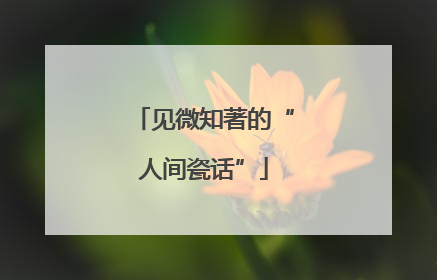 见微知著的“人间瓷话”