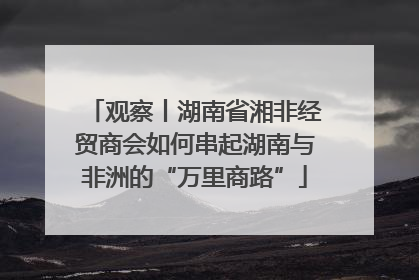 观察丨湖南省湘非经贸商会如何串起湖南与非洲的“万里商路”