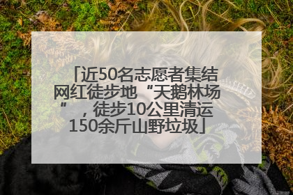 近50名志愿者集结网红徒步地“天鹅林场”，徒步10公里清运150余斤山野垃圾