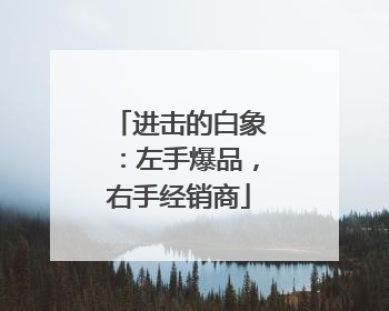 进击的白象：左手爆品，右手经销商