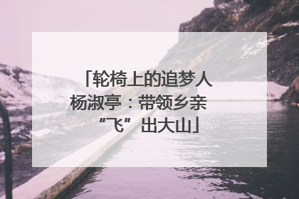 轮椅上的追梦人杨淑亭：带领乡亲“飞”出大山