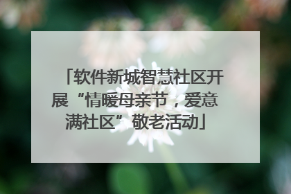 软件新城智慧社区开展“情暖母亲节，爱意满社区”敬老活动