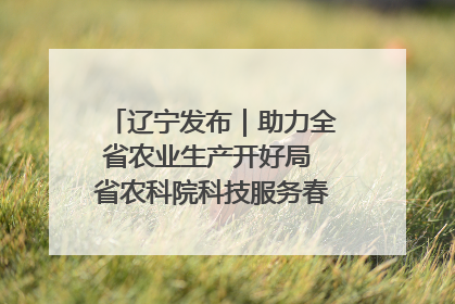 辽宁发布｜助力全省农业生产开好局 省农科院科技服务春耕备耕成效显著
