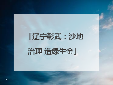 辽宁彰武：沙地治理 造绿生金