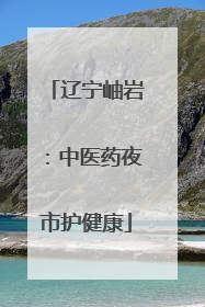 辽宁岫岩：中医药夜市护健康