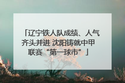 辽宁铁人队成绩、人气齐头并进 沈阳铸就中甲联赛“第一球市”