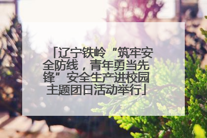 辽宁铁岭“筑牢安全防线，青年勇当先锋”安全生产进校园主题团日活动举行
