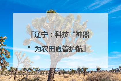 辽宁：科技“神器”为农田夏管护航