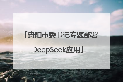 贵阳市委书记专题部署DeepSeek应用