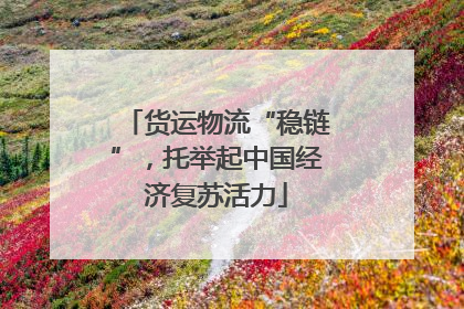 货运物流“稳链”，托举起中国经济复苏活力