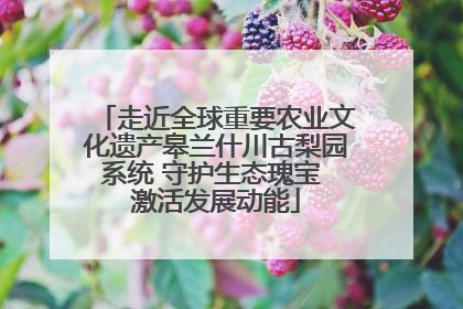 走近全球重要农业文化遗产皋兰什川古梨园系统 守护生态瑰宝 激活发展动能