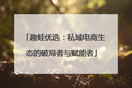 趣蛙优选：私域电商生态的破局者与赋能者