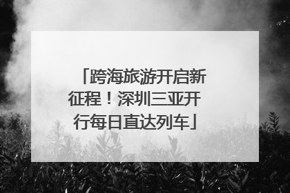跨海旅游开启新征程！深圳三亚开行每日直达列车