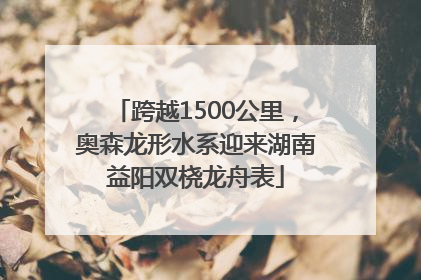跨越1500公里，奥森龙形水系迎来湖南益阳双桡龙舟表