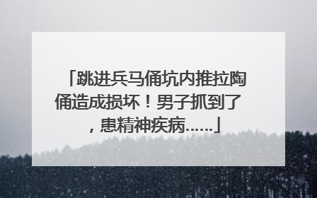 跳进兵马俑坑内推拉陶俑造成损坏！男子抓到了，患精神疾病……