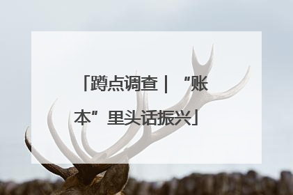 蹲点调查｜“账本”里头话振兴