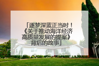 逐梦深蓝正当时！《关于推动海洋经济高质量发展的提案》背后的故事