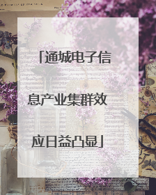 通城电子信息产业集群效应日益凸显