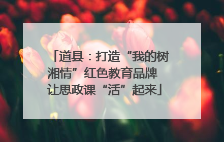 道县：打造“我的树湘情”红色教育品牌 让思政课“活”起来