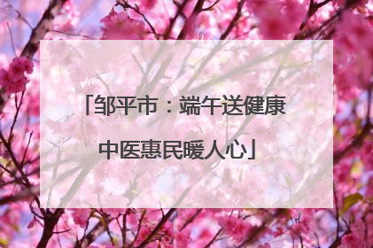 邹平市：端午送健康 中医惠民暖人心