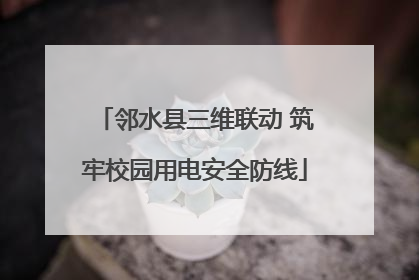 邻水县三维联动 筑牢校园用电安全防线