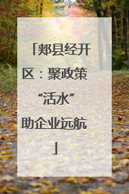郏县经开区：聚政策“活水” 助企业远航