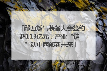 郧西燃气装备大会签约超113亿元，产业“链”动中西部新未来