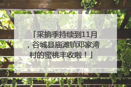 采摘季持续到11月，谷城县庙滩镇邓家湾村的蜜桃丰收啦！