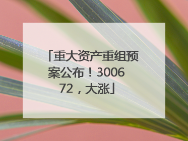 重大资产重组预案公布！300672，大涨