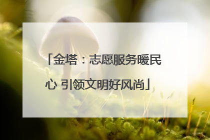 金塔：志愿服务暖民心 引领文明好风尚