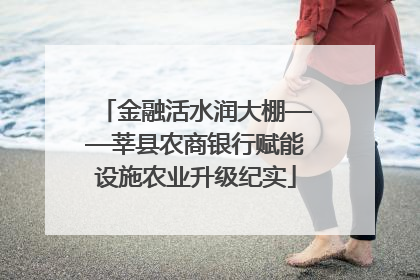 金融活水润大棚——莘县农商银行赋能设施农业升级纪实