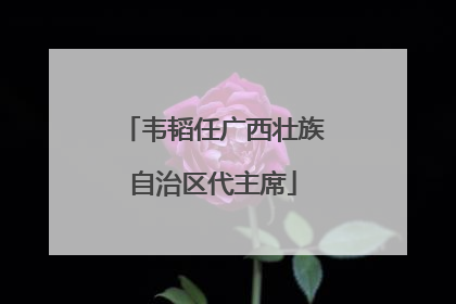 韦韬任广西壮族自治区代主席
