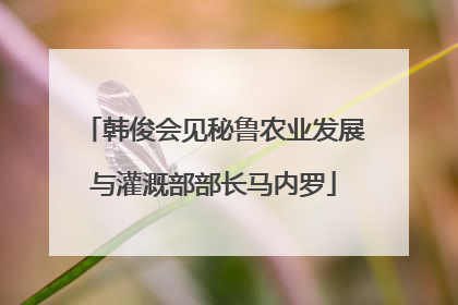 韩俊会见秘鲁农业发展与灌溉部部长马内罗
