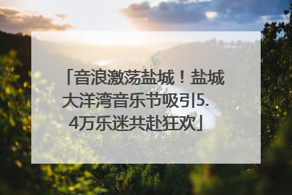 音浪激荡盐城！盐城大洋湾音乐节吸引5.4万乐迷共赴狂欢