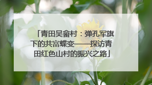 青田吴畲村：弹孔军旗下的共富蝶变——探访青田红色山村的振兴之路