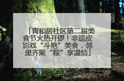 青和居社区第二届美食节火热开锣！非遗皮影戏“斗艳”美食，邻里齐聚“粽”享温情