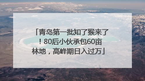青岛第一批知了猴来了！80后小伙承包60亩林地，高峰期日入过万