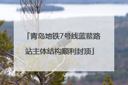 青岛地铁7号线蓝鳌路站主体结构顺利封顶