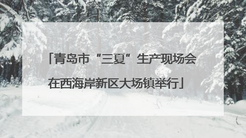 青岛市“三夏”生产现场会在西海岸新区大场镇举行