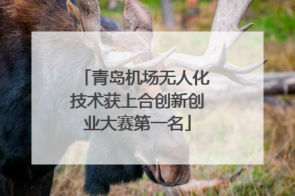青岛机场无人化技术获上合创新创业大赛第一名