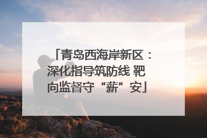 青岛西海岸新区：深化指导筑防线 靶向监督守“薪”安