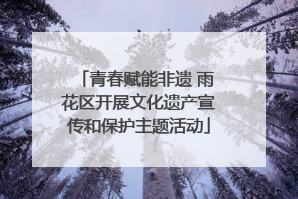 青春赋能非遗 雨花区开展文化遗产宣传和保护主题活动