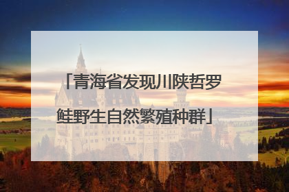 青海省发现川陕哲罗鲑野生自然繁殖种群