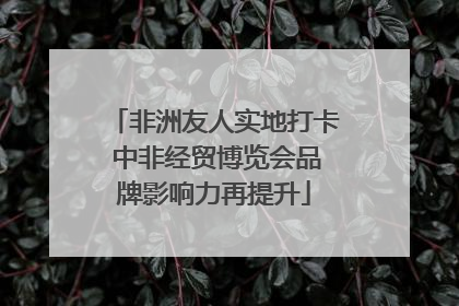 非洲友人实地打卡 中非经贸博览会品牌影响力再提升
