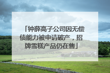 钟薛高子公司因无偿债能力被申请破产，招牌雪糕产品仍在售