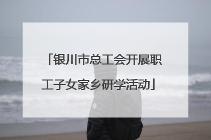 银川市总工会开展职工子女家乡研学活动