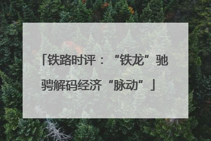 铁路时评：“铁龙”驰骋解码经济“脉动”